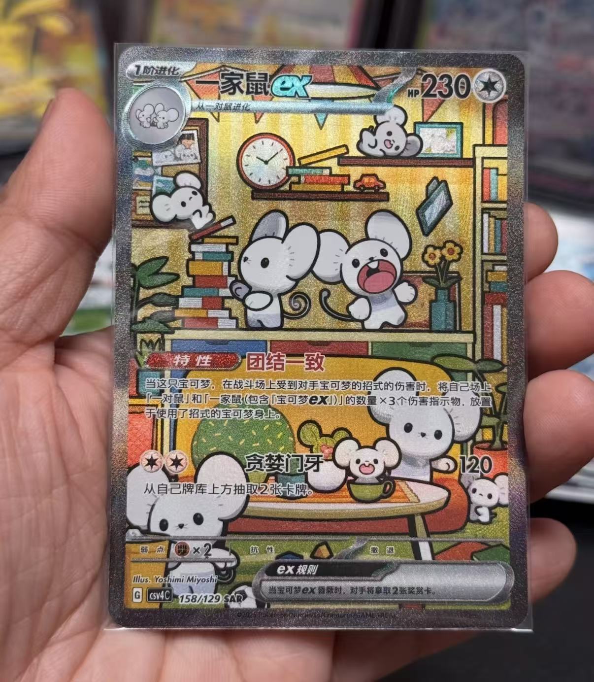 Pokemon CSV4C Jumbo Box.